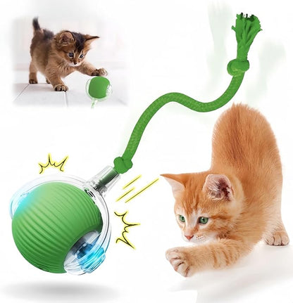 Kitty Interactive Roll Ball