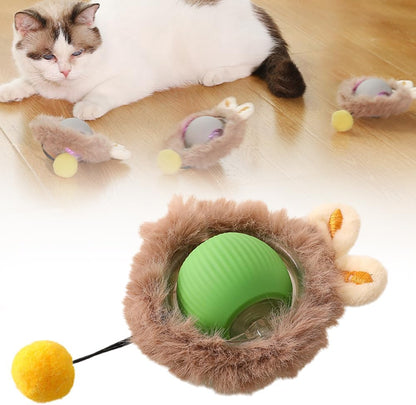 Kitty Interactive Roll Ball