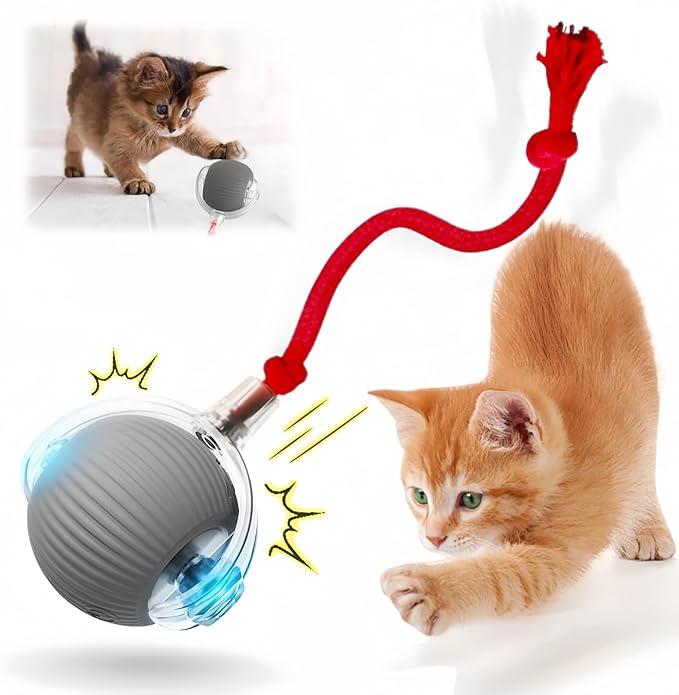 Kitty Interactive Roll Ball