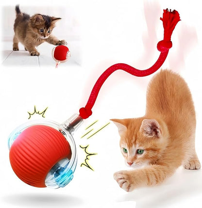 Kitty Interactive Roll Ball