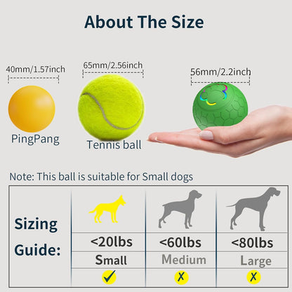 DogGo Interactive Roll Ball