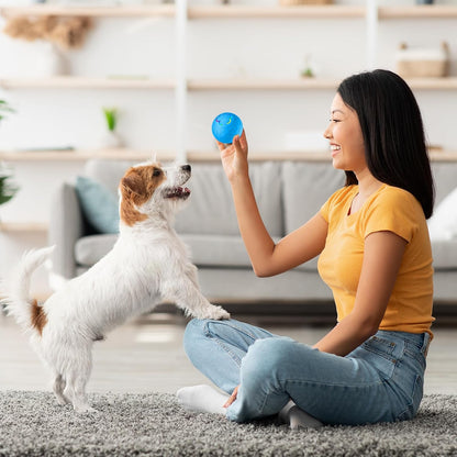 DogGo Interactive Roll Ball