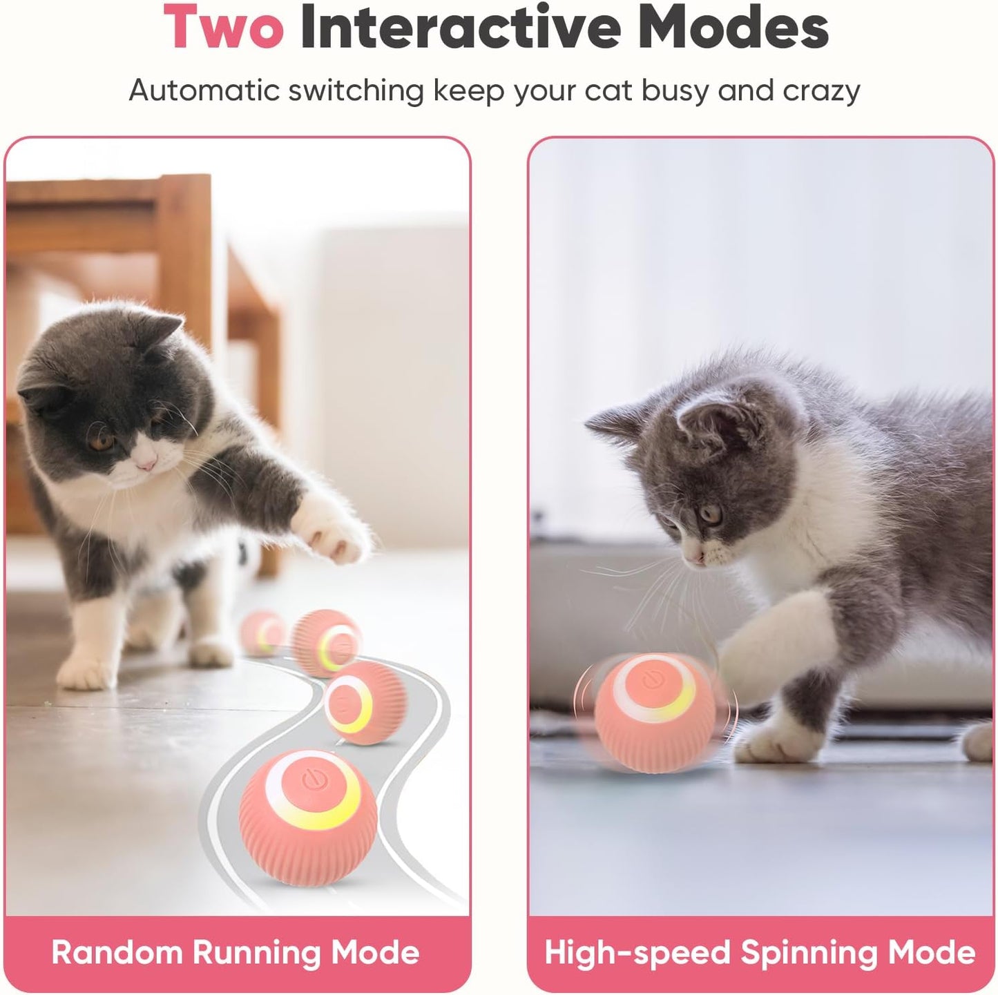 Kitty Interactive Roll Ball